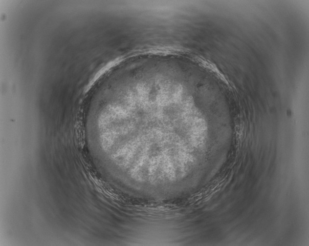 X0000085001256200703261119