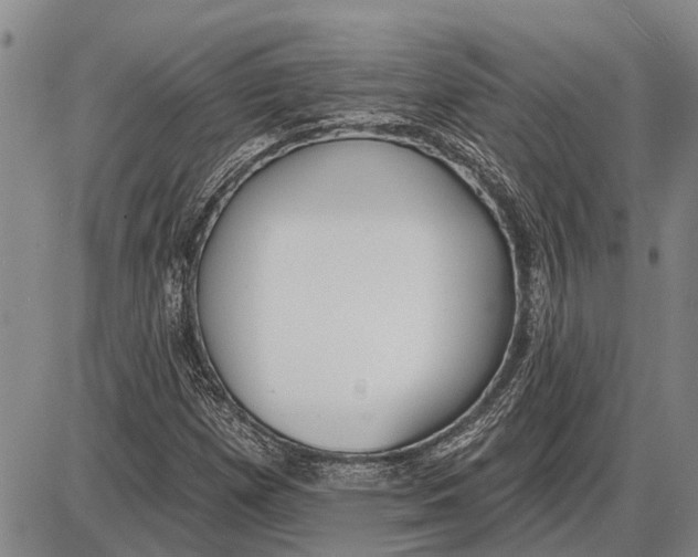 X0000085001257200703261119