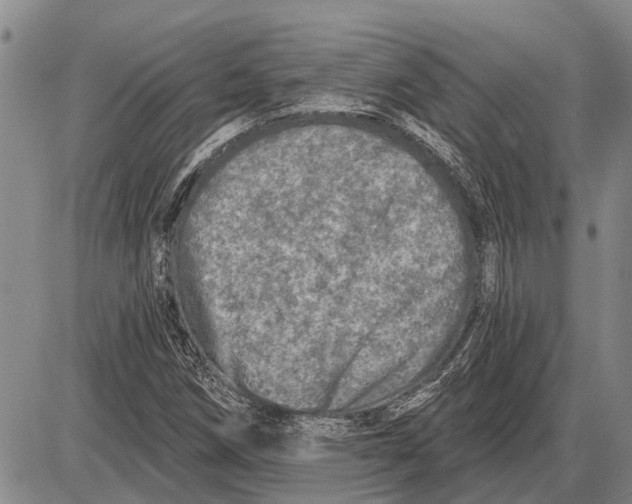 X0000085001258200703261119