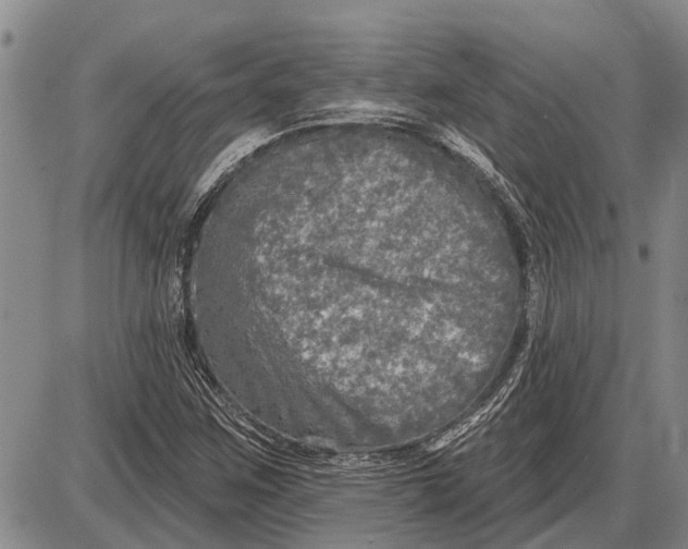 X0000085001259200703261119