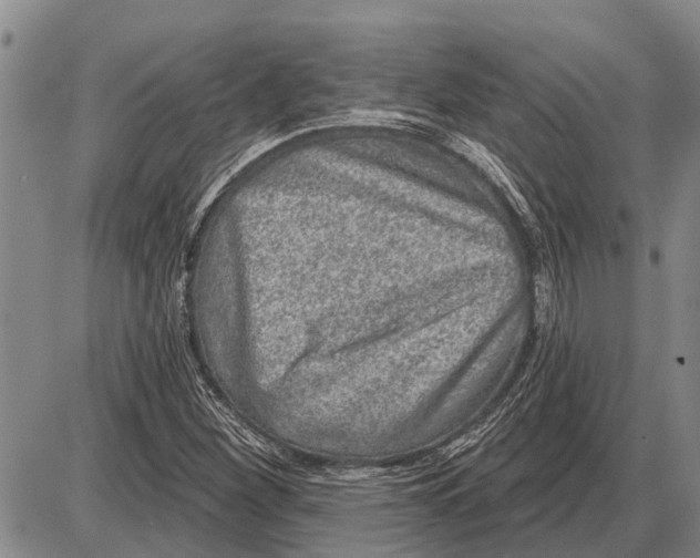 X0000085001260200703261119