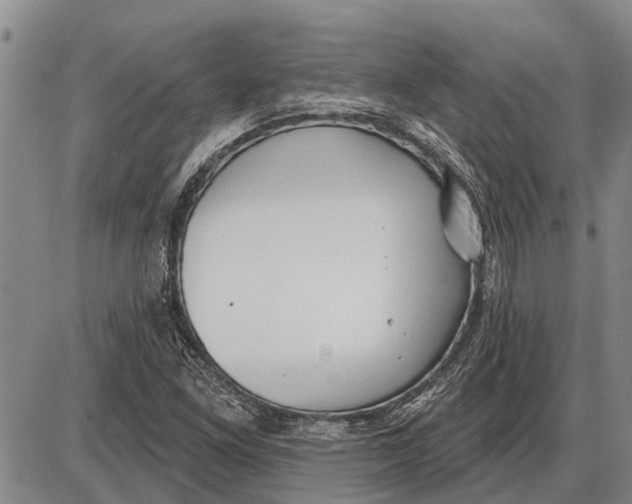 X0000085001261200703261119