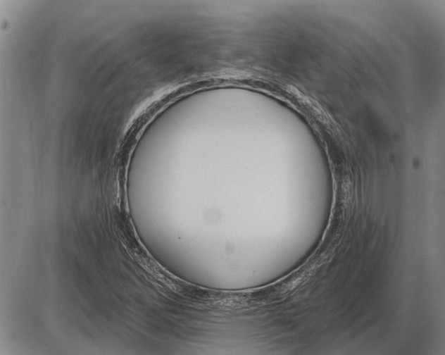 X0000085001262200703261119