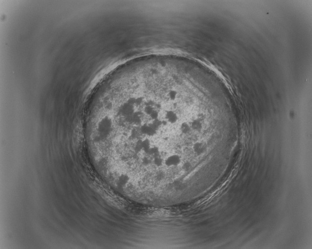 X0000085001263200703261119