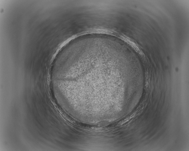 X0000085001264200703261119