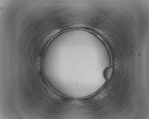 X0000085001265200703261119