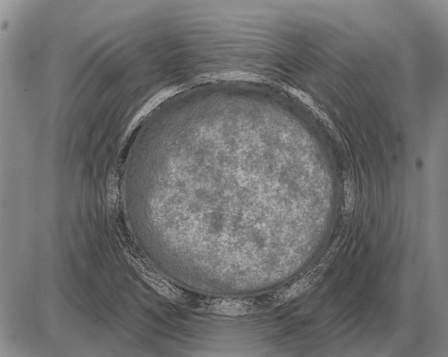 X0000085001266200703261119