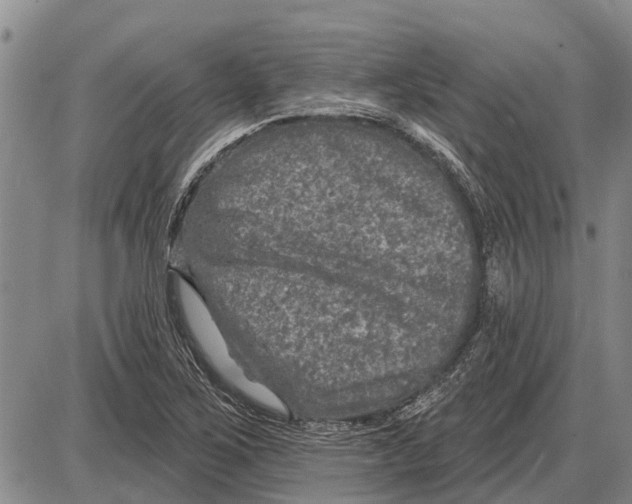 X0000085001267200703261119