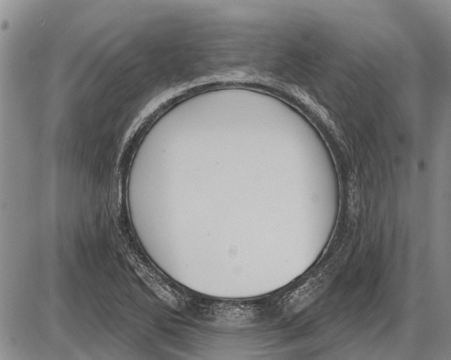 X0000085001270200703261119