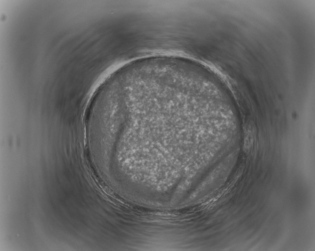 X0000085001271200703261119