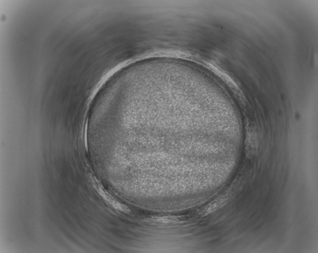 X0000085001272200703261119