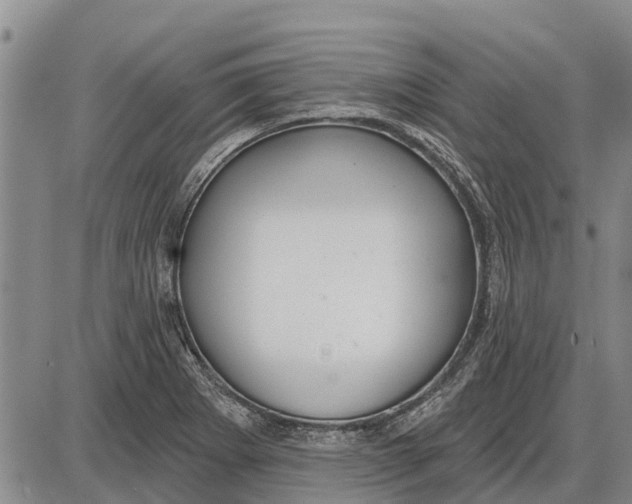 X0000085001273200703261119