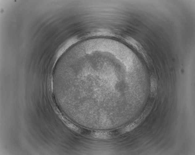 X0000085001274200703261119