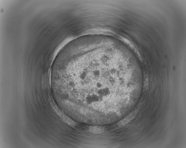 X0000085001275200703261119