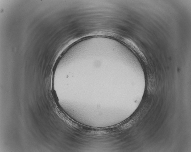 X0000085001276200703261119