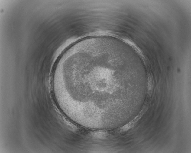 X0000085001278200703261119