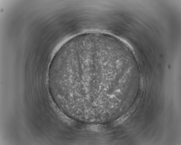 X0000085001279200703261119