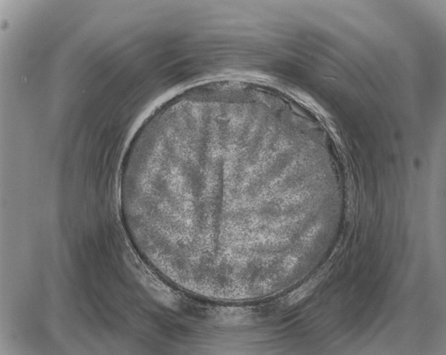 X0000085001280200703261119