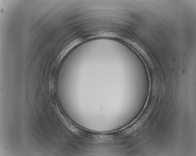 X0000085001281200703261119