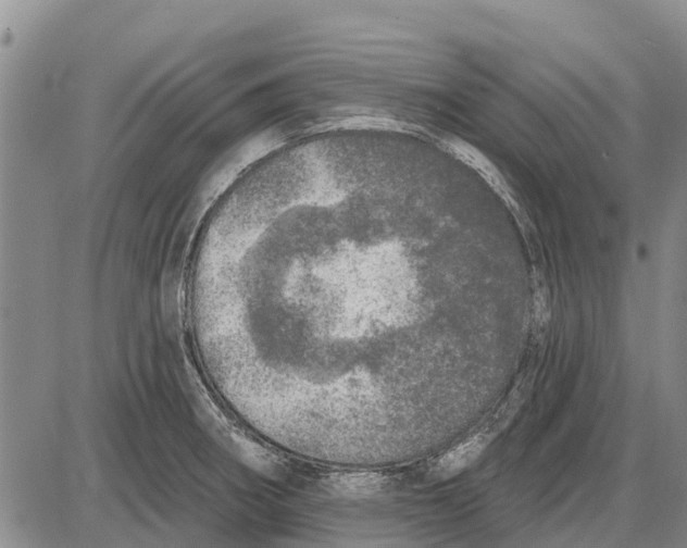 X0000085001282200703261119