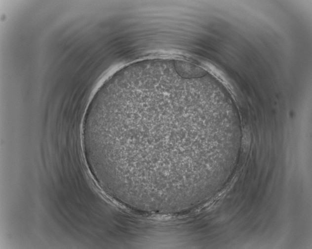 X0000085001283200703261119