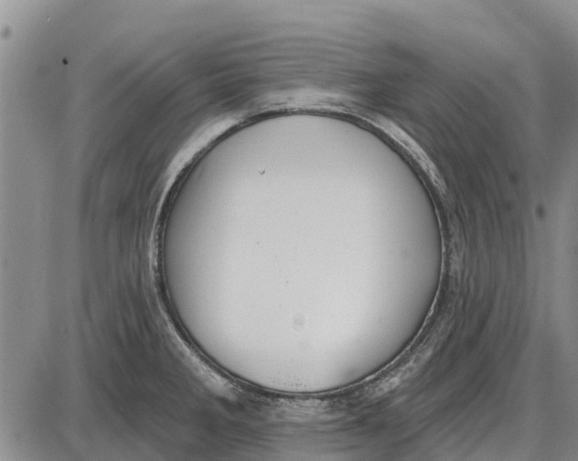 X0000085001285200703261119