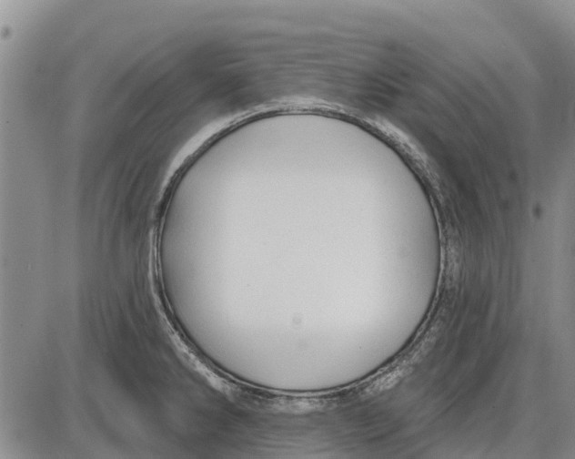 X0000085001286200703261119