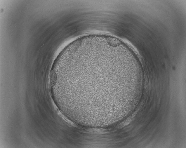 X0000085001287200703261119