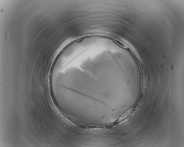 X0000085001291200703261119