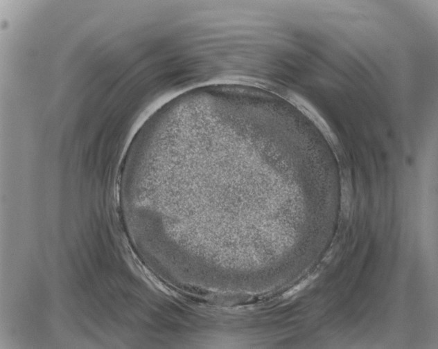 X0000085001292200703261119