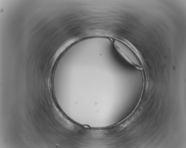 X0000085001293200703261119