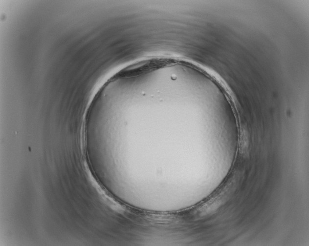 X0000085001295200703261119