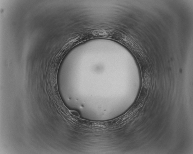 X0000085001297200703261118