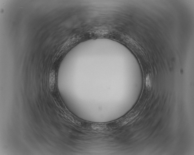 X0000085001299200703261118