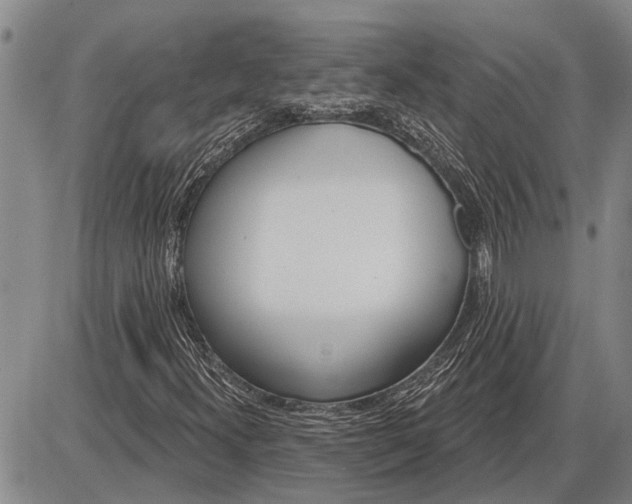 X0000085001300200703261118