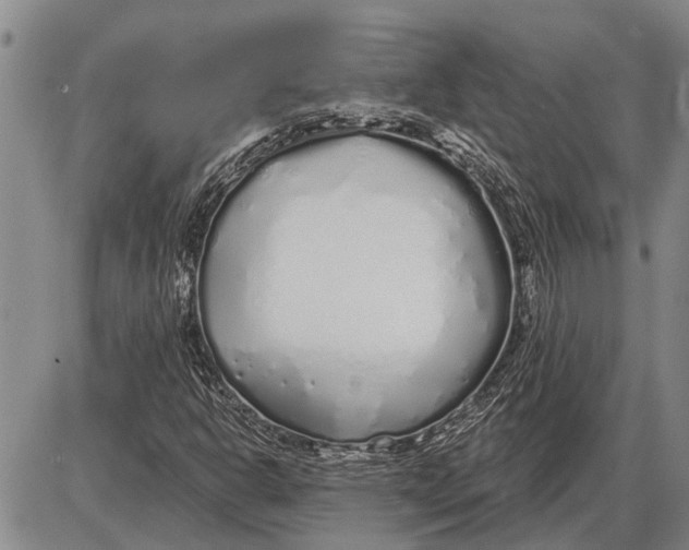 X0000085001302200703261118