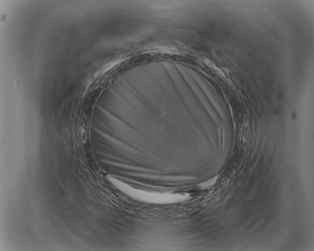 X0000085001303200703261118