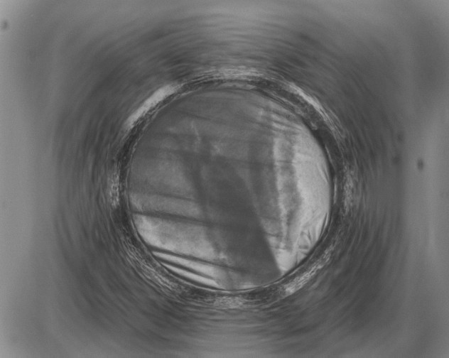 X0000085001306200703261118