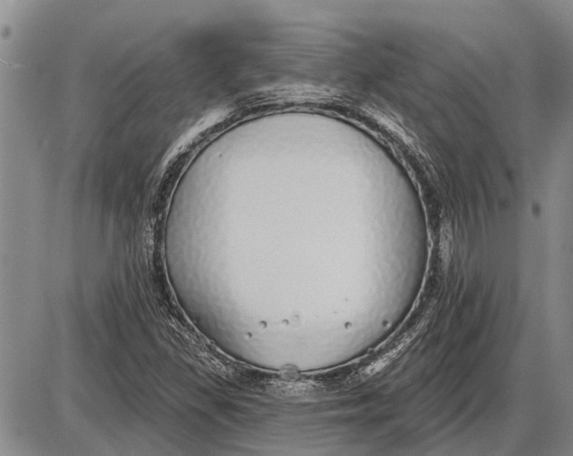 X0000085001309200703261118