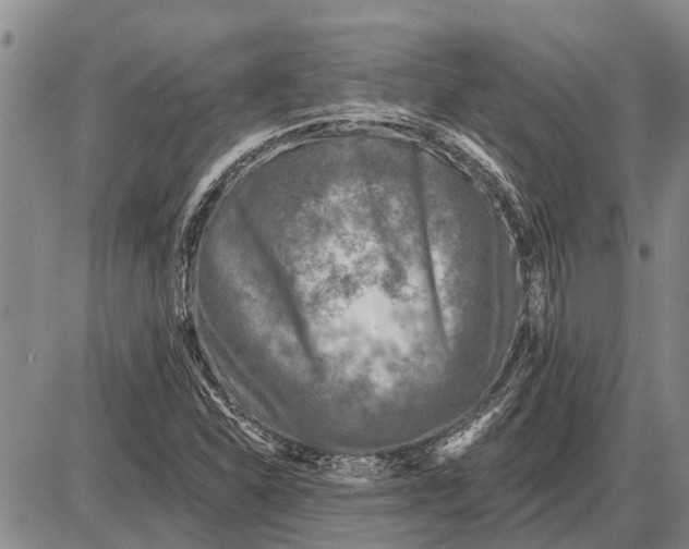 X0000085001310200703261118