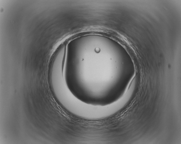 X0000085001312200703261118