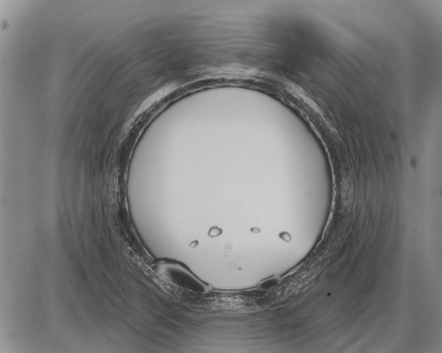 X0000085001315200703261118