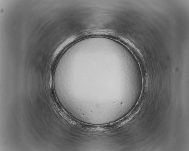 X0000085001317200703261118