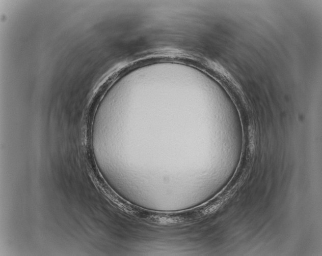 X0000085001318200703261118