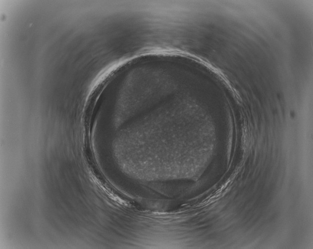 X0000085001319200703261118