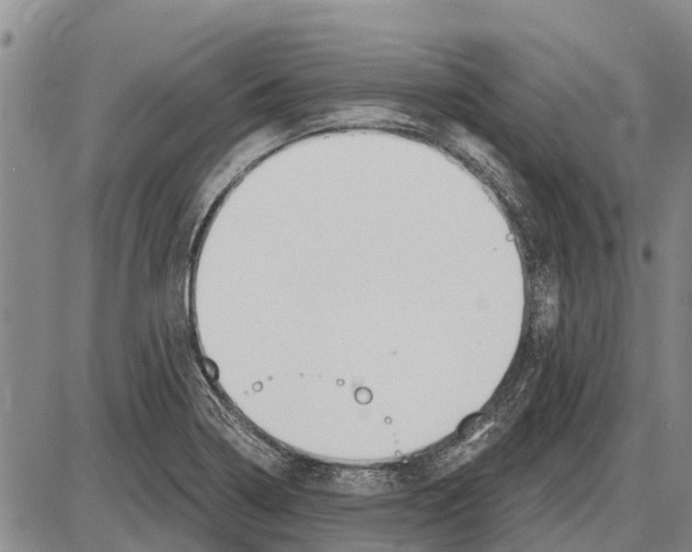 X0000085001322200703261118