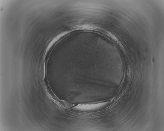 X0000085001323200703261118