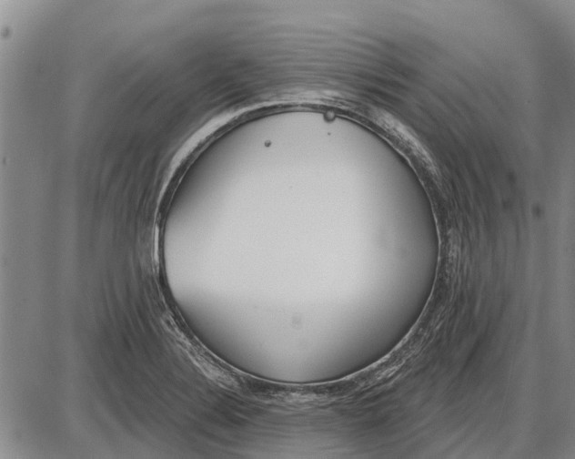 X0000085001324200703261118