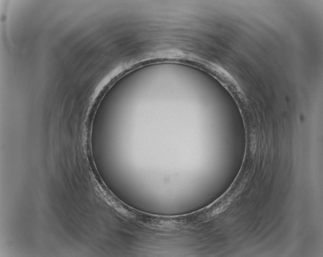 X0000085001326200703261118