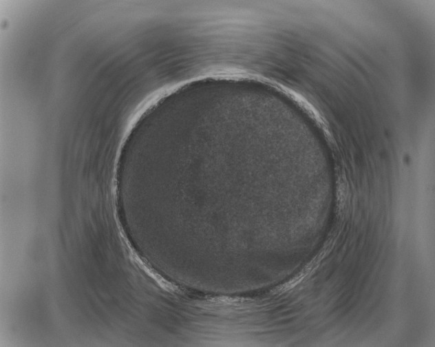 X0000085001327200703261118